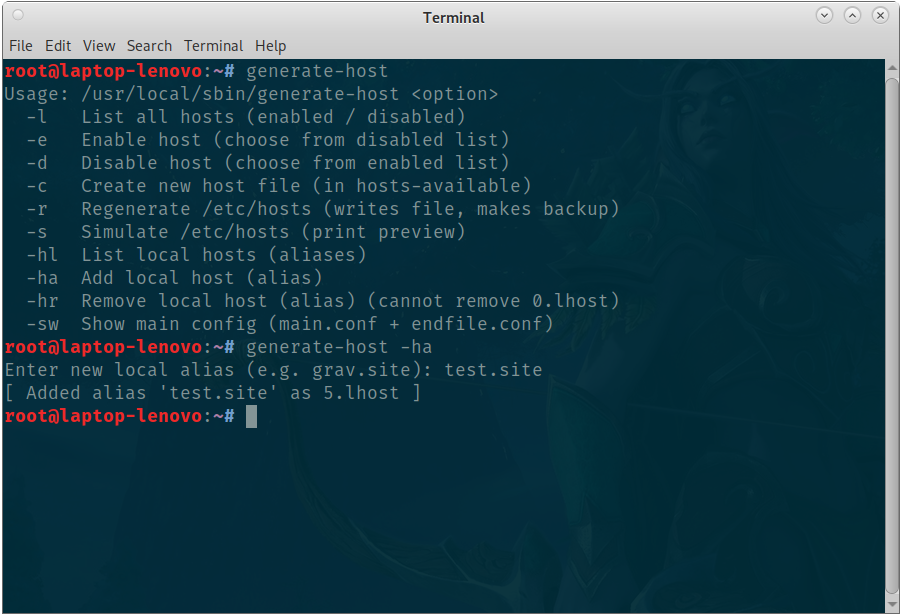 Screenshot about the usage of the script in the terminal